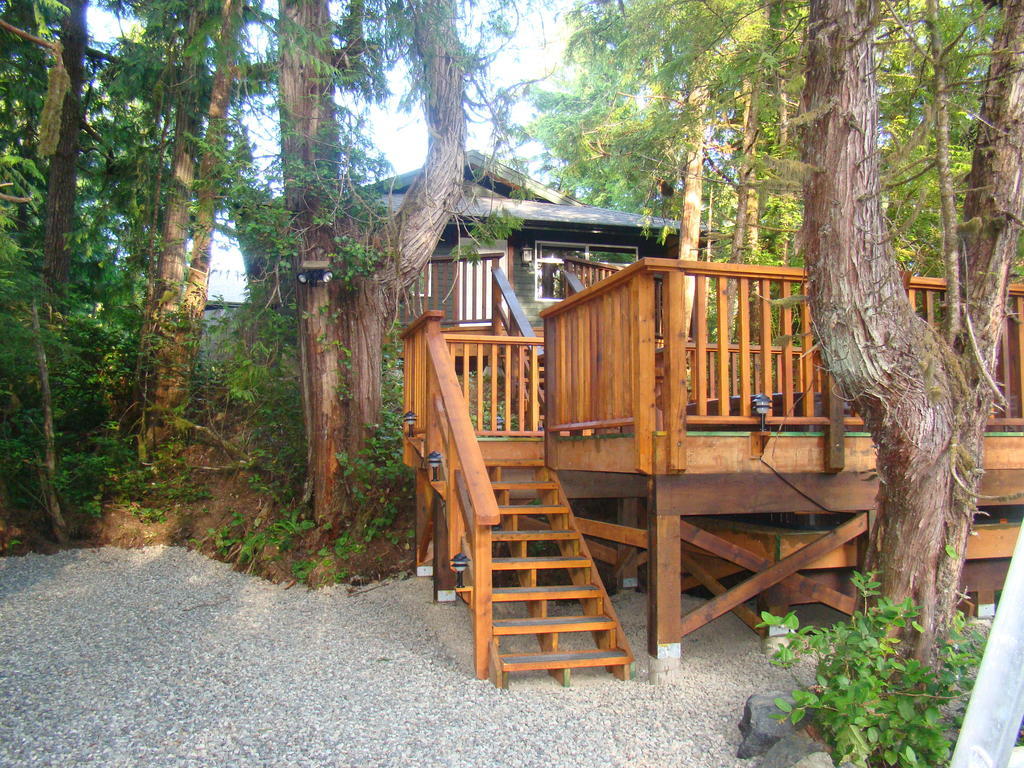 Tofino Forest View Cabin By Cox Bay Willa Pokój zdjęcie
